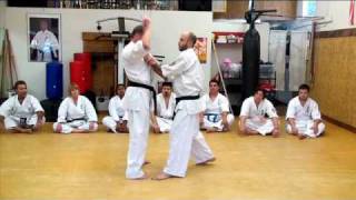 KyokushinKan Karate training [upl. by Alhsa561]