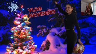 VLOG ARMANDO NUESTRO ÁRBOL DE NAVIDAD ACOMPAÑARNOS [upl. by Llerut]