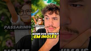 nome dos animais em inglês livedobrino humor MundinhoBrino [upl. by Casta838]