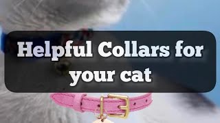 Quick Fitting Guide for the ADAPTIL Calm Collar [upl. by Oigroig]