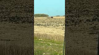 1 Minute 🚜 Disking Fields farm shorts tractor farmlife fieldwork tractors countrylife [upl. by Leirud]