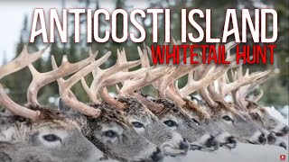 Whitetail Deer Hunting on Anticosti Island Quebec [upl. by Durham184]