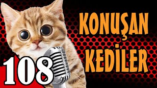 Konuşan Kediler 108  En Komik Kedi Videoları  PATİ TV [upl. by Henri]