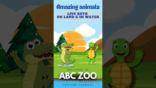 Top 5 Amazing Animals That Live on Land and Water  ABC ZOO Fun Animal Lessons [upl. by Eliak536]