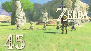 Detonado Completo 100 Zelda Breath of the Wild 45  O RECITAL NO NINHO DO PASSARINHO [upl. by Cordi300]