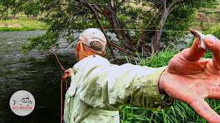 Fly Fishing Deschutes River Salmon Flies by Todd Moen [upl. by Dnomse]