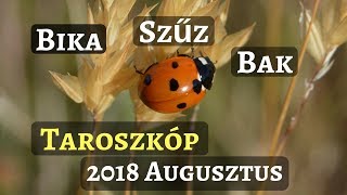 BIKA SZŰZ BAK Taroszkóp 2018 AUGUSZTUS [upl. by Naujyt]