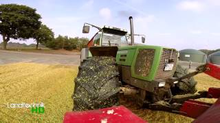 Mais schieben mit Fendt Favorit 824 822 und Fendt Vario 828 HD [upl. by Leidba]