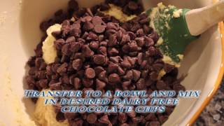 Autoimmune Adventure  Paleo Chocolate Chip Cookies [upl. by Rosenquist]