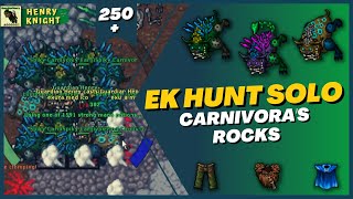 TIBIA EK HUNT SOLO 56 CARNIVORS CARNIVORAS ROCKS [upl. by Yelsa]