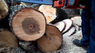 Husky 576xp vs 371xpg vs Stihl MS460 [upl. by Early]