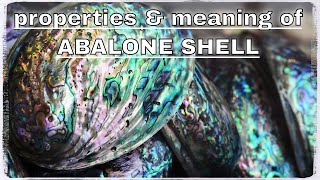 Abalone Shell Meaning Benefits and Spiritual Properties [upl. by Modeerf475]