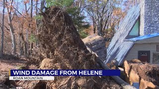 Wind Damage from Helene Impacts the Higher Elevations [upl. by Asilat361]