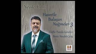 HASRETLE BULUŞAN NAĞMELER 3  NECDET ÇALIŞ [upl. by Jerrol]