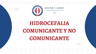 Hidrocefalia comunicante y no comunicante [upl. by Nalliuq]