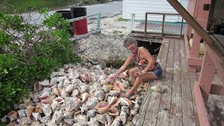 Conch Fisherman [upl. by Isyed]