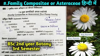 Family Compositae or Asteraceae in hindi BSc 2nd year Botany 3rd Semester [upl. by Ykcaj]