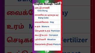 92 Vocabulary for Spoken English in Tamil vocabularyintamil spokenenglishintamil [upl. by Lleznod810]