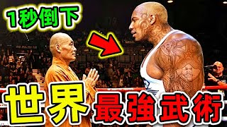 全世界最強的10種武術！中國功夫排名第幾？第一名堪稱“人類核彈”，卻是各國特種兵必修課。世界之最top 世界之最 出類拔萃 腦洞大開 top10 最強武術 [upl. by Sible]