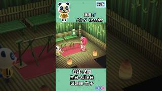 集合啦！動物森友會 236胖達 animalcrossing [upl. by Adiaz]