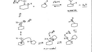 Mechanism of Enamine Formation Organic Chemistry [upl. by Sanbo]