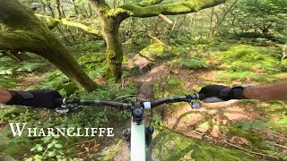 Wharncliffe Woods  I Would Pay To Ride Here  Mtb [upl. by Diraj]