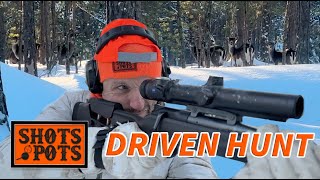 DRIVEN HUNT IN SWEDEN [upl. by Wey928]