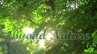 NEUTRAL BEYOND MEDITATION MUSIC [upl. by Ninel]