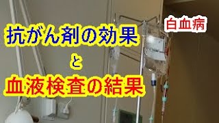 【白血病】抗がん剤の効果と血液検査の結果。データでわかります【闘病記】 [upl. by Enimasaj]