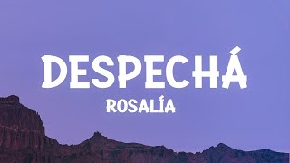 ROSALÍA  DESPECHÁ LetraLyrics  1 Hour Version [upl. by Neelrihs]