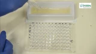 MIC by Microbroth dilution method [upl. by Ardnosak]