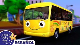 Las ruedas del autobús  Canciones Infantiles  Dibujos Animados  Little Baby Bum en Español [upl. by Thorwald]