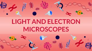 WHAT ARE LIGHT AND ELECTRON MICROSCOPES  HOW DO THEY WORK [upl. by Hakim]