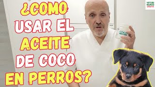 🥥 ¿COMO USAR EL ACEITE DE COCO PARA PERROS 🥥 [upl. by Ramburt]