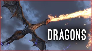 Fighting a DRAGON in Elsweyr how strong are they Elsweyr PTS [upl. by Llyrrad]