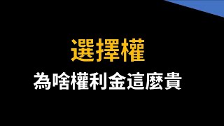 為什麼現在的選擇權權利金比以前貴那麼多？ [upl. by Atiniv]