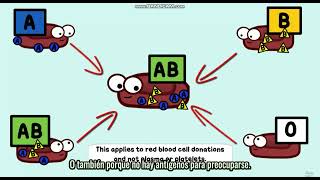 Biology with SPANISH through AMOEBA SISTERS  Multiple Alleles ABO Blood Types and Punnett Squares [upl. by Yur]