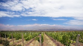 Doku HD Reise durch Amerika  Argentinien  Die Weinbauregion von Mendoza [upl. by Sucul]