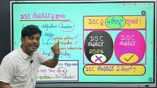 AP DSC నోటిఫికేషన్ పై quot4రోజుల్లోquot క్లారిటీ 🔥DSC 2024 రద్దు అవుతుందా నోటిఫికేషన్ 2025 లోనేనా💥 [upl. by Lananna]