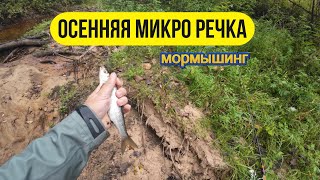 мормышинг  Осенняя микро речка [upl. by Ilojna]