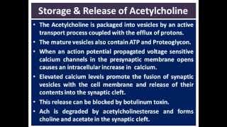 Acetylcholine  CBL [upl. by Juno]