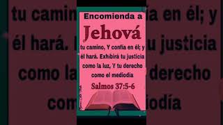 Encomienda a Jehová tu camino🐑🐑🙏♥️🕊️🌻🇨🇷 [upl. by Ahsai]