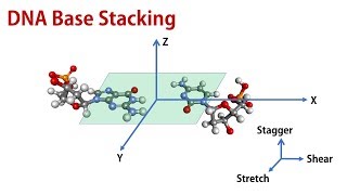 Base Stacking in DNA Base Pair and Base Pair StepParameters [upl. by Sylera]