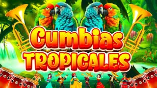 CUMBIAS TROPICALES PARA BAILAR🌴CUMBIAS TROPICALES 2024🍉ACAPULCO TROPICALTROPICAL FLORIDA [upl. by Acinorev]