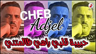 Cheb Adjel 2024 Hbibet Galbi شيخ الشيوخ العجال 💔💔 حبيبة قلبي راهي ظالمتني [upl. by Koh]