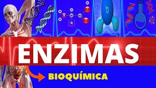 ENZIMAS  BIOQUÍMICA ENSINO SUPERIOR  TUDO SOBRE ENZIMAS  ESTRUTURA E FUNÇÃO DAS ENZIMAS [upl. by Sathrum]