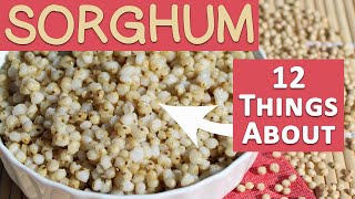 Sorghum 101 Try This Instead of Rice [upl. by Aitetel685]