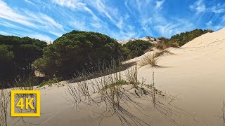 Escape to Doñana Dunes with 4K Nature Ambience [upl. by Naitsabas]