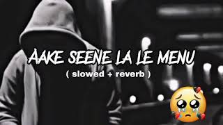 Aake Seene La Le Menu   SlowedReverb   New Trending Song  Ajeet Lofi World🎯 [upl. by Meesan645]