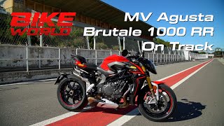 MV Agusta Brutale 1000 RR On Track [upl. by Ttirrem423]